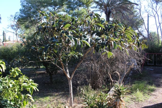 Tomt till salu i L'Eliana - 210 000 € (Ref: 3971108)