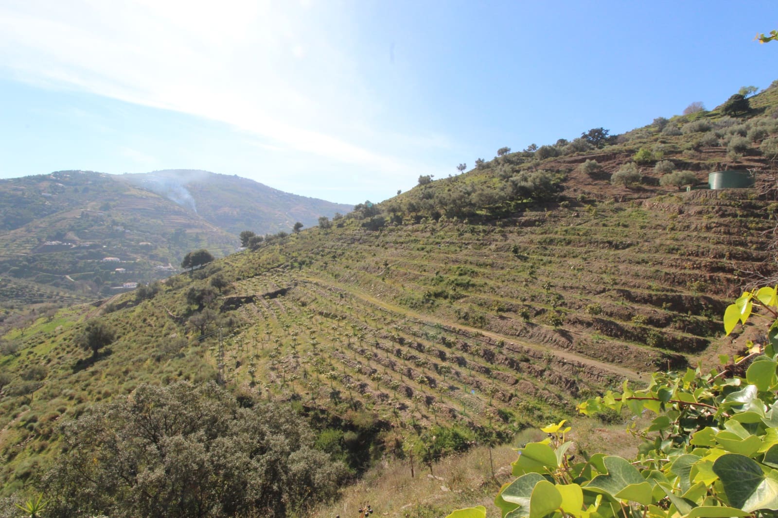 2 soveværelse Finca/Landehus til salg i Competa - € 449.500 (Ref: 5000736)