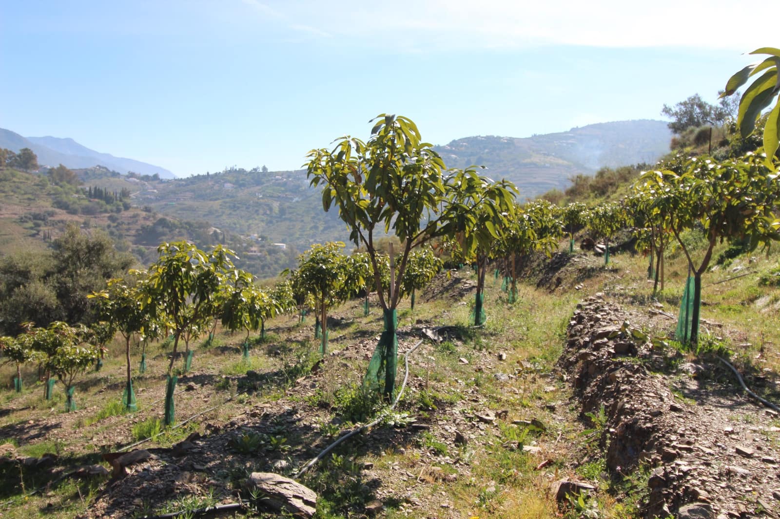 2 soveværelse Finca/Landehus til salg i Competa - € 449.500 (Ref: 5000736)