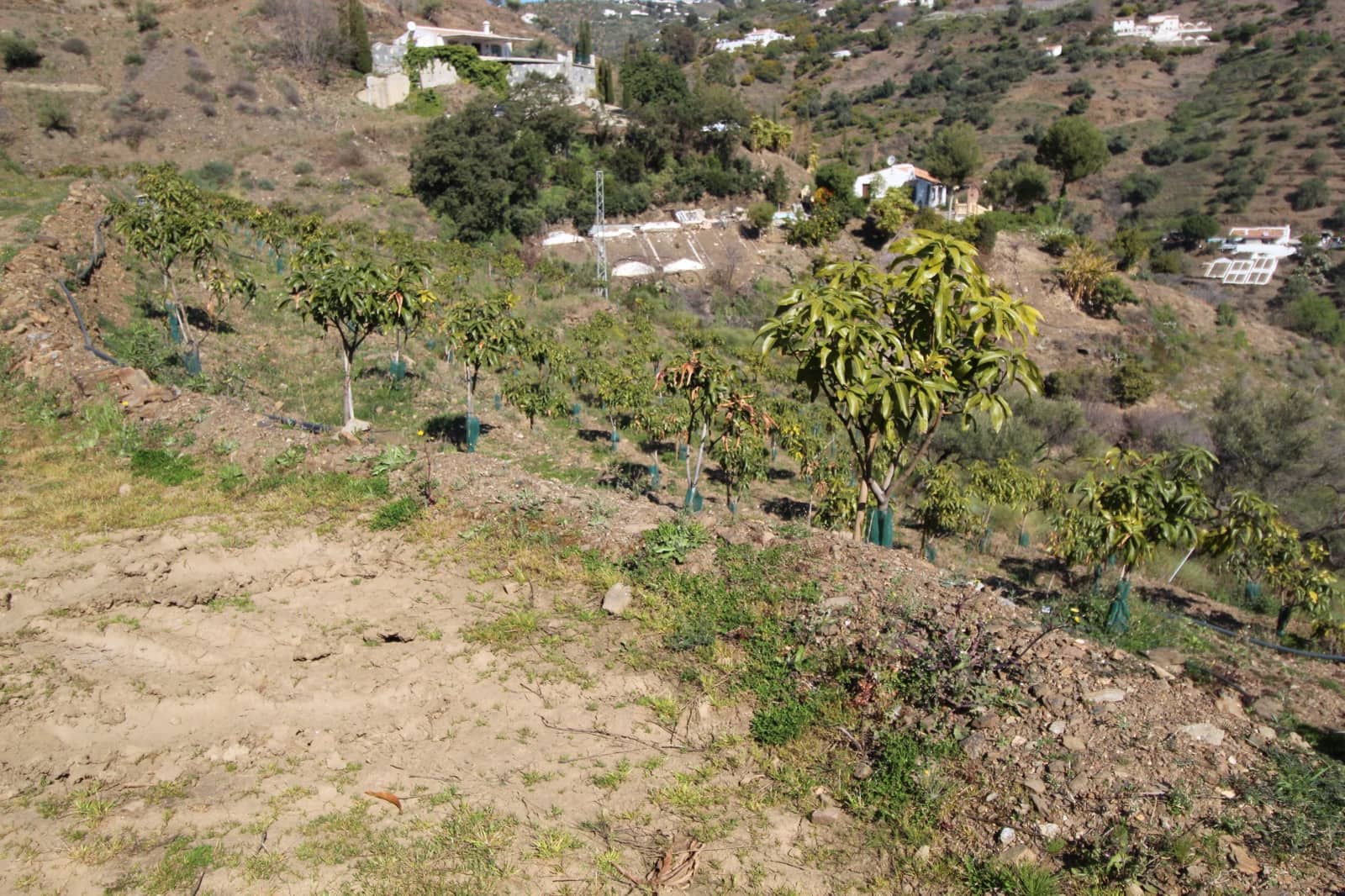 2 soveværelse Finca/Landehus til salg i Competa - € 449.500 (Ref: 5000736)