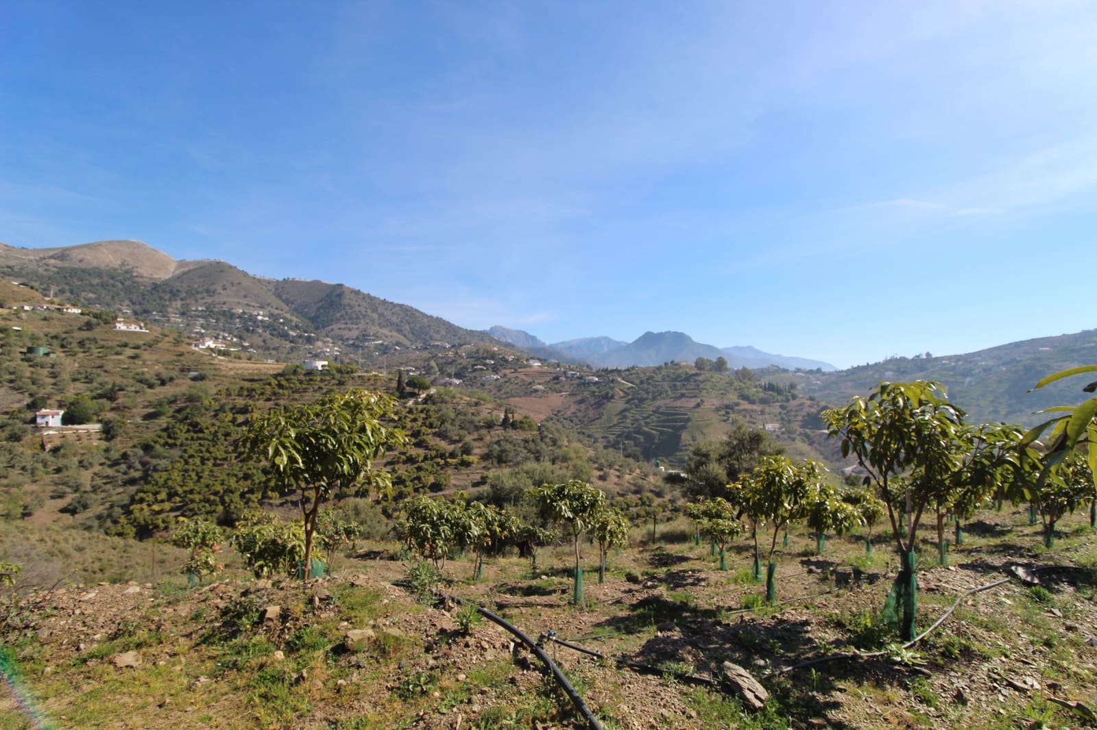 2 soveværelse Finca/Landehus til salg i Competa - € 449.500 (Ref: 5000736)