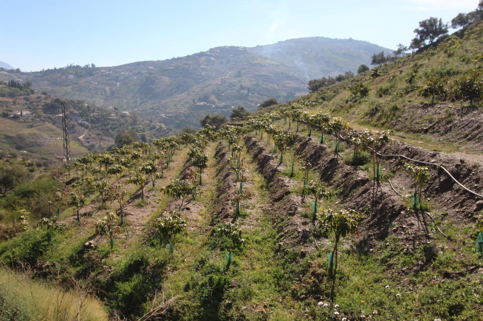 2 soveværelse Finca/Landehus til salg i Competa - € 449.500 (Ref: 5000736)