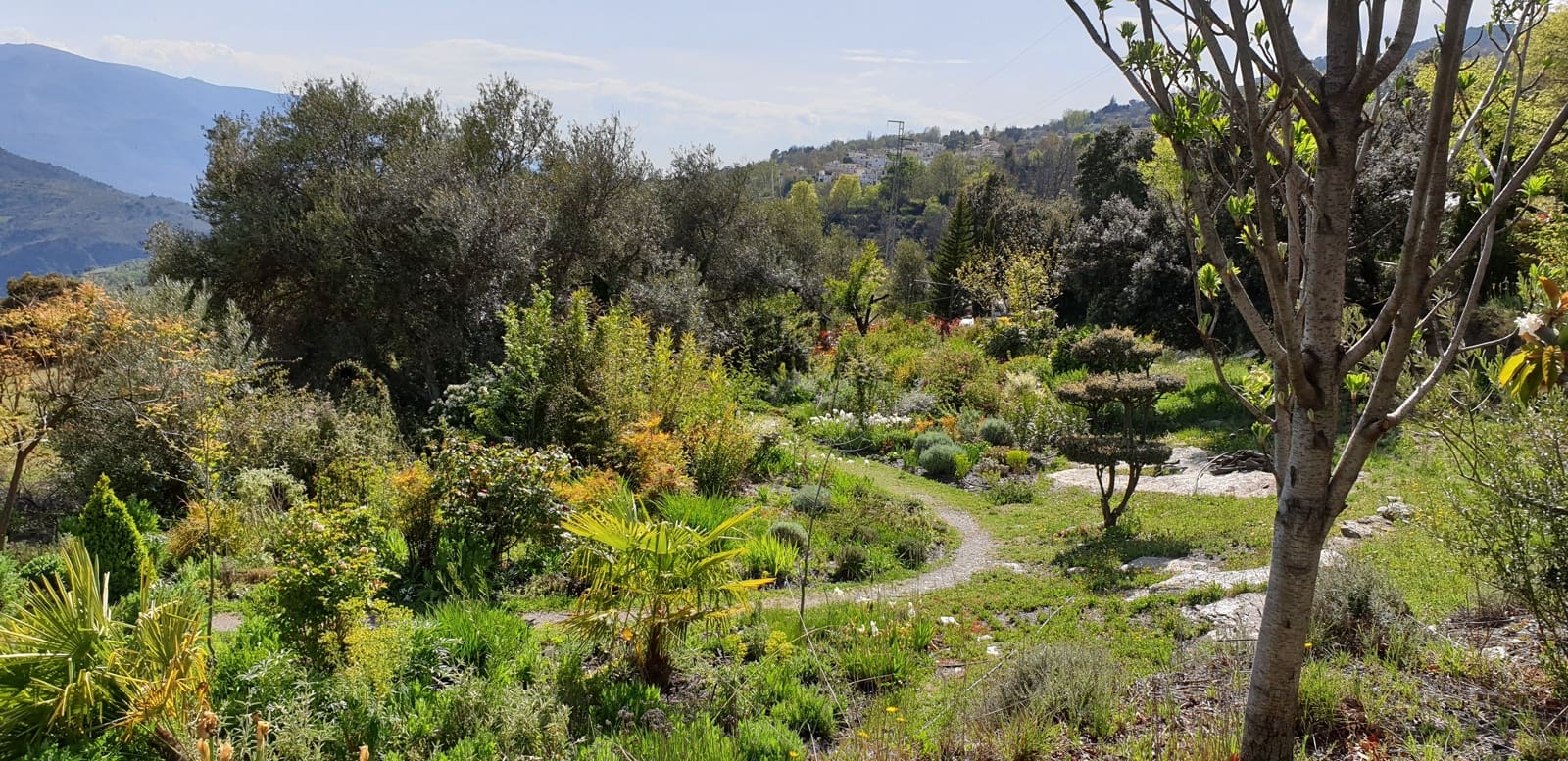 4 soveværelse Villa til salg i Portugos med garage - € 575.000 (Ref: 6868757)