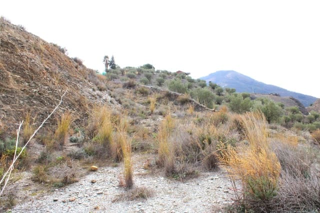 Building Plot for sale in Jete - € 29,000 (Ref: 8076953)