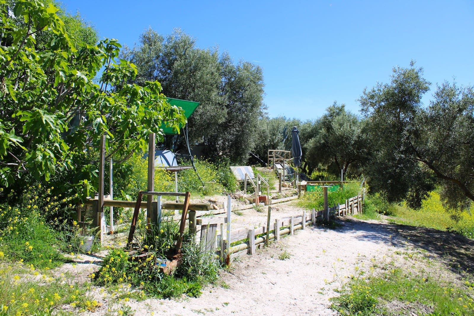 3 soveværelse Finca/Landehus til salg i Salar med swimmingpool garage - € 250.000 (Ref: 8253476)