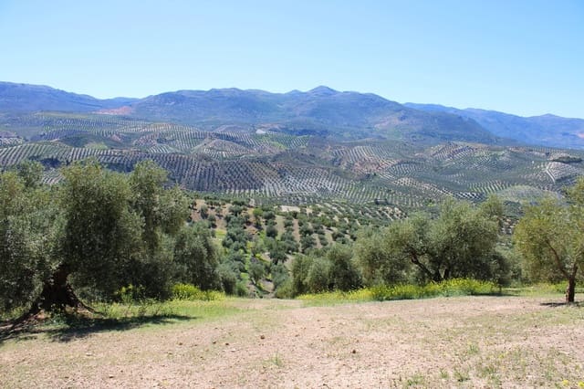 3 soveværelse Finca/Landehus til salg i Salar med swimmingpool garage - € 250.000 (Ref: 8253476)