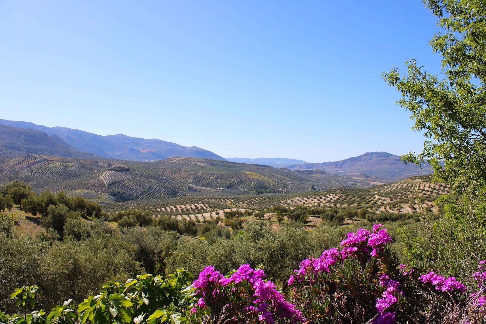 3 soveværelse Finca/Landehus til salg i Salar med swimmingpool garage - € 250.000 (Ref: 8253476)