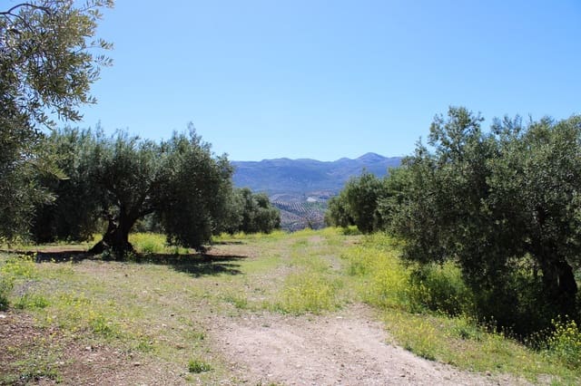 3 soveværelse Finca/Landehus til salg i Salar med swimmingpool garage - € 250.000 (Ref: 8253476)