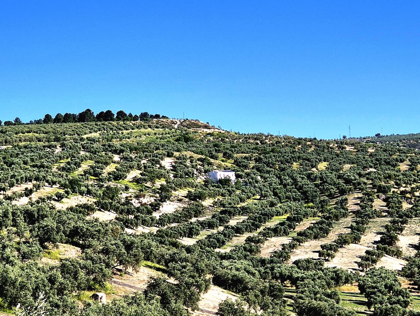 3 soveværelse Finca/Landehus til salg i Salar med swimmingpool garage - € 250.000 (Ref: 8253476)