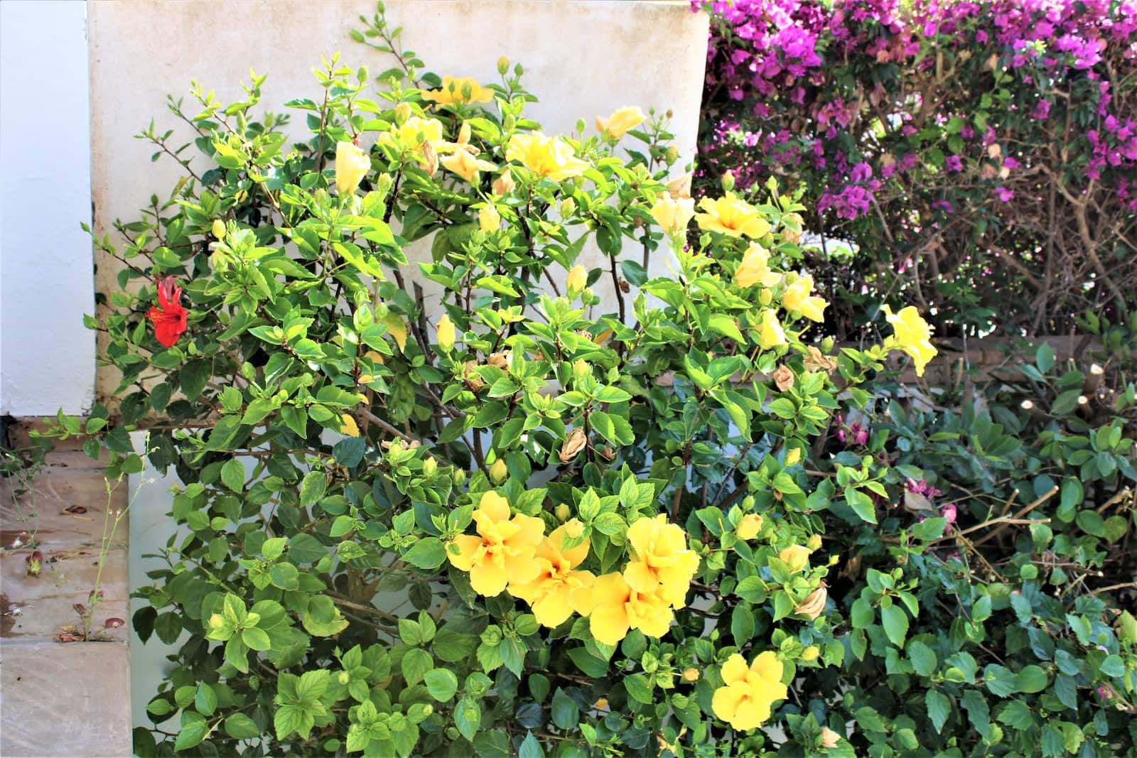 5 soverom Villa til salgs i La Herradura med svømmebasseng garasje - € 1 650 000 (Ref: 8304560)