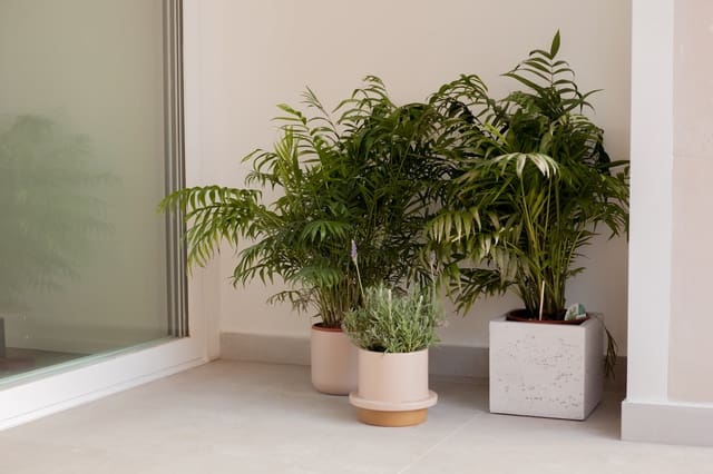 2 bedroom Apartment for sale in Son Espanyolet, Palma de Mallorca - € 799,000 (Ref: 8751637)