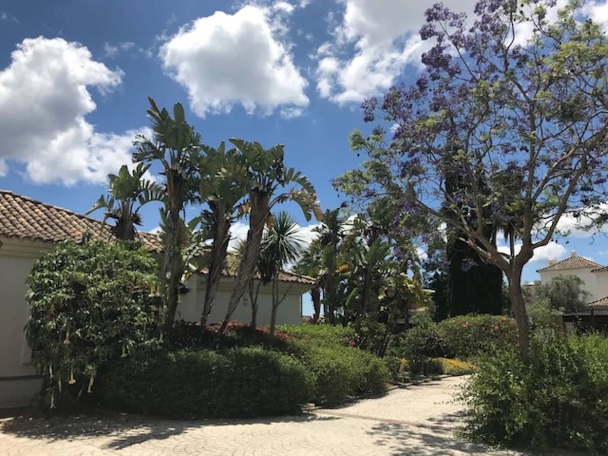 4 soveværelse Villa til salg i Sotogrande - € 1.700.000 (Ref: 8830522)