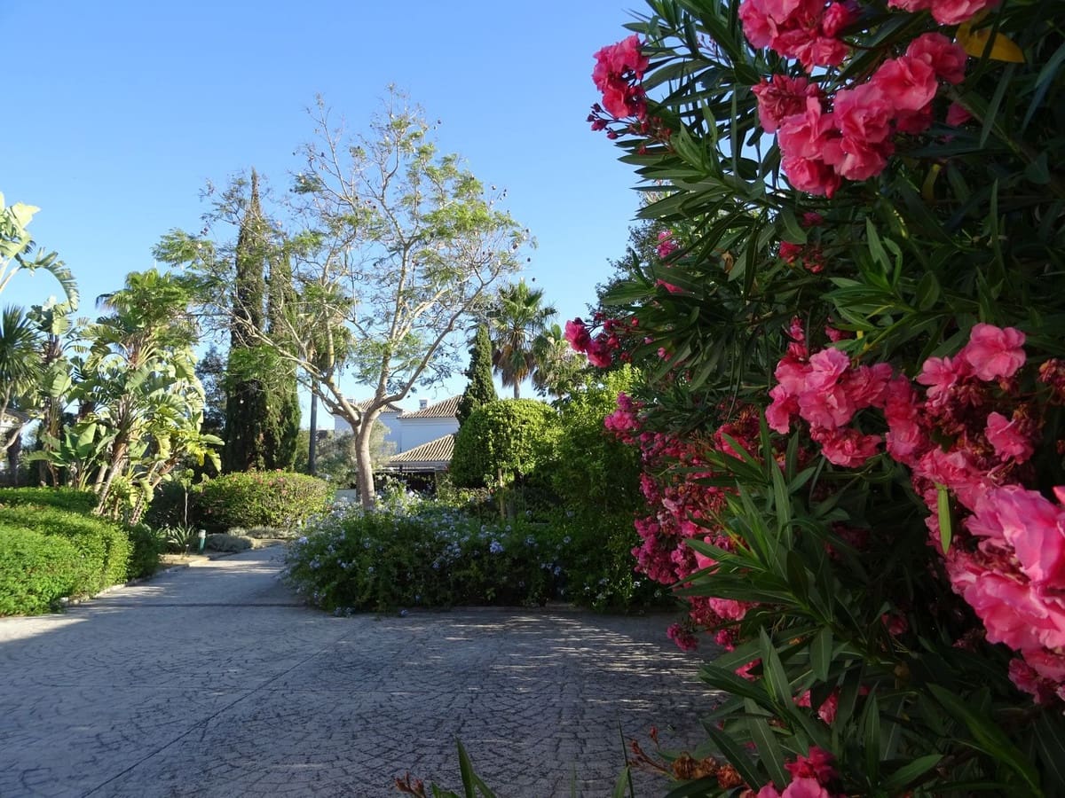 4 soveværelse Villa til salg i Sotogrande - € 1.700.000 (Ref: 8830522)