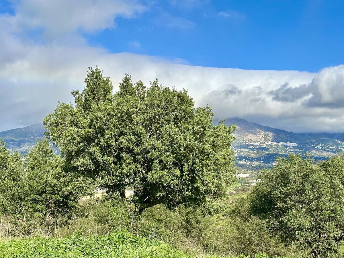 Byggetomt til salgs i La Cala de Mijas - € 320 000 (Ref: 8830524)