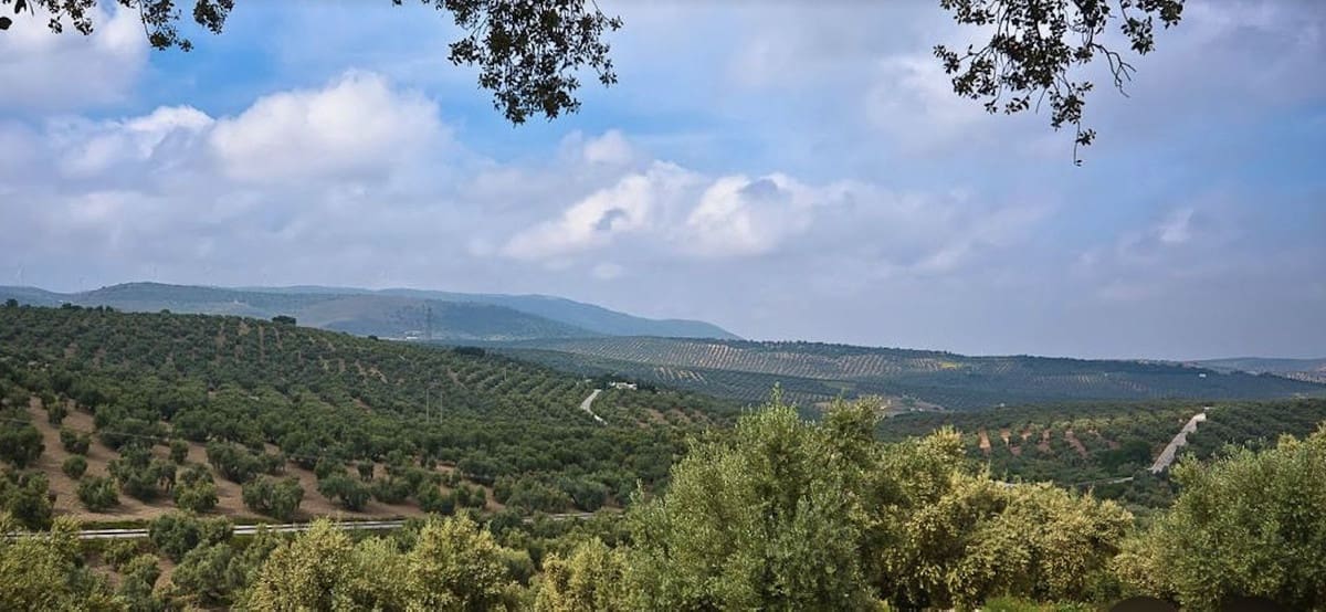 Byggegrund til salg i Antequera - € 350.000 (Ref: 8868461)