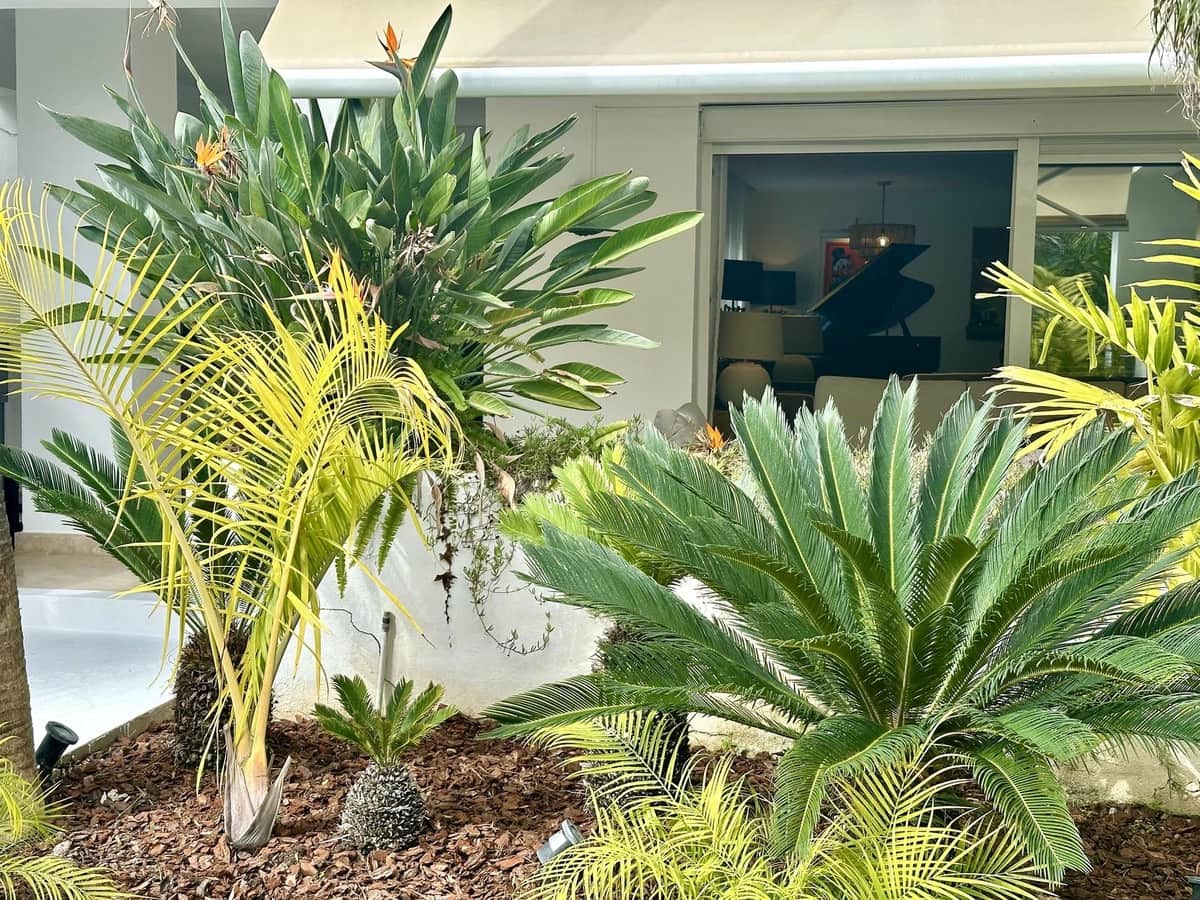 1 soveværelse Lejlighed til salg i Rio Real med garage - € 695.000 (Ref: 8886957)