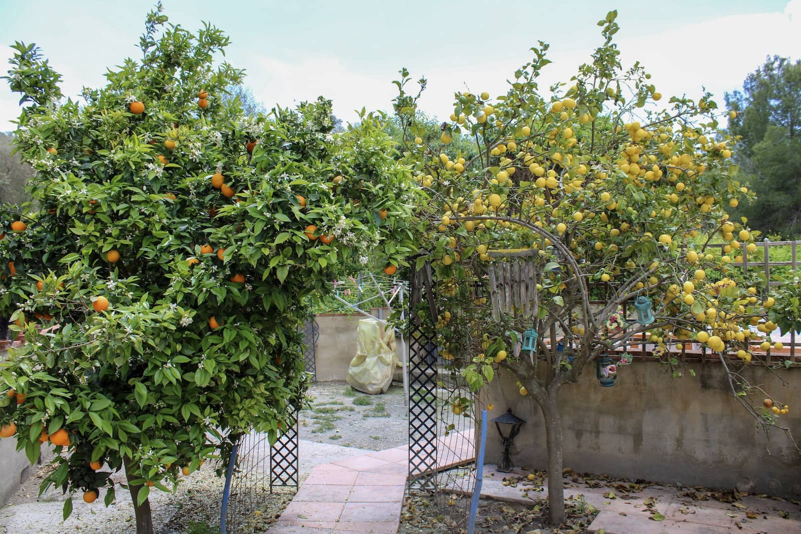 5 soveværelse Villa til salg i Motril med swimmingpool - € 285.000 (Ref: 8981800)