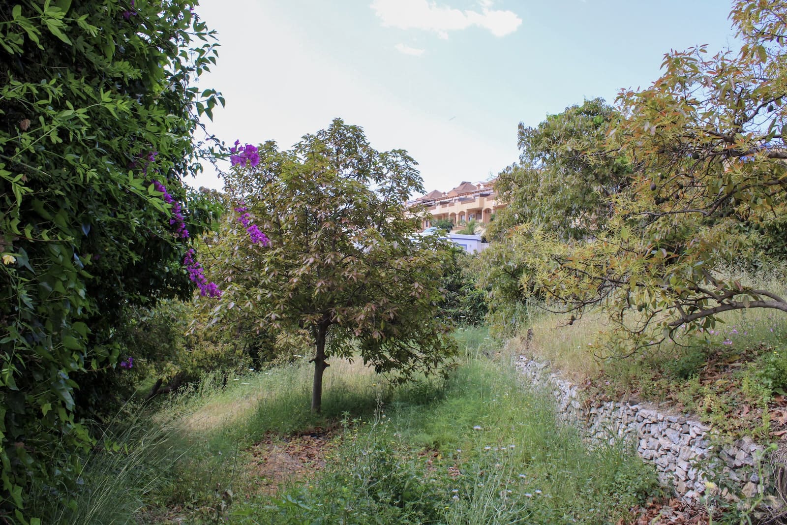 7 soveværelse Villa til salg i Almunecar med swimmingpool - € 1.572.600 (Ref: 9030756)