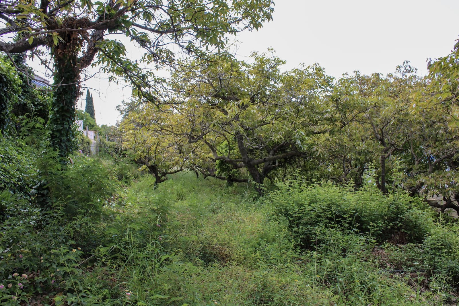 7 soveværelse Villa til salg i Almunecar med swimmingpool - € 1.572.600 (Ref: 9030756)