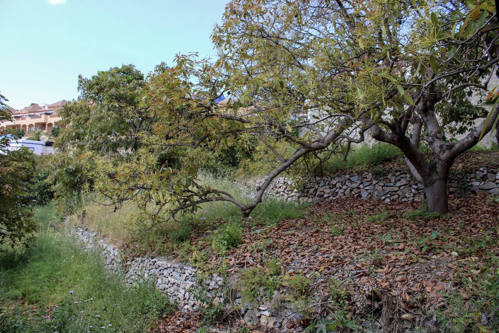 7 soveværelse Villa til salg i Almunecar med swimmingpool - € 1.572.600 (Ref: 9030756)