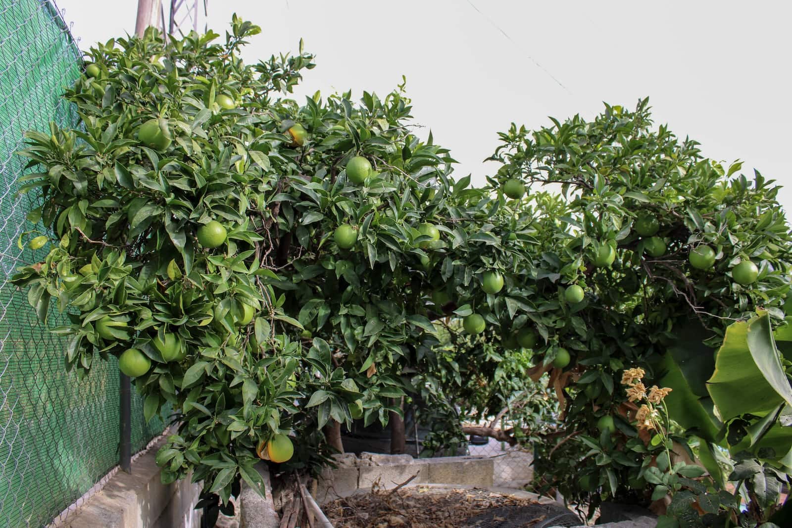 4 soveværelse Villa til salg i Nerja med swimmingpool - € 349.000 (Ref: 9197099)