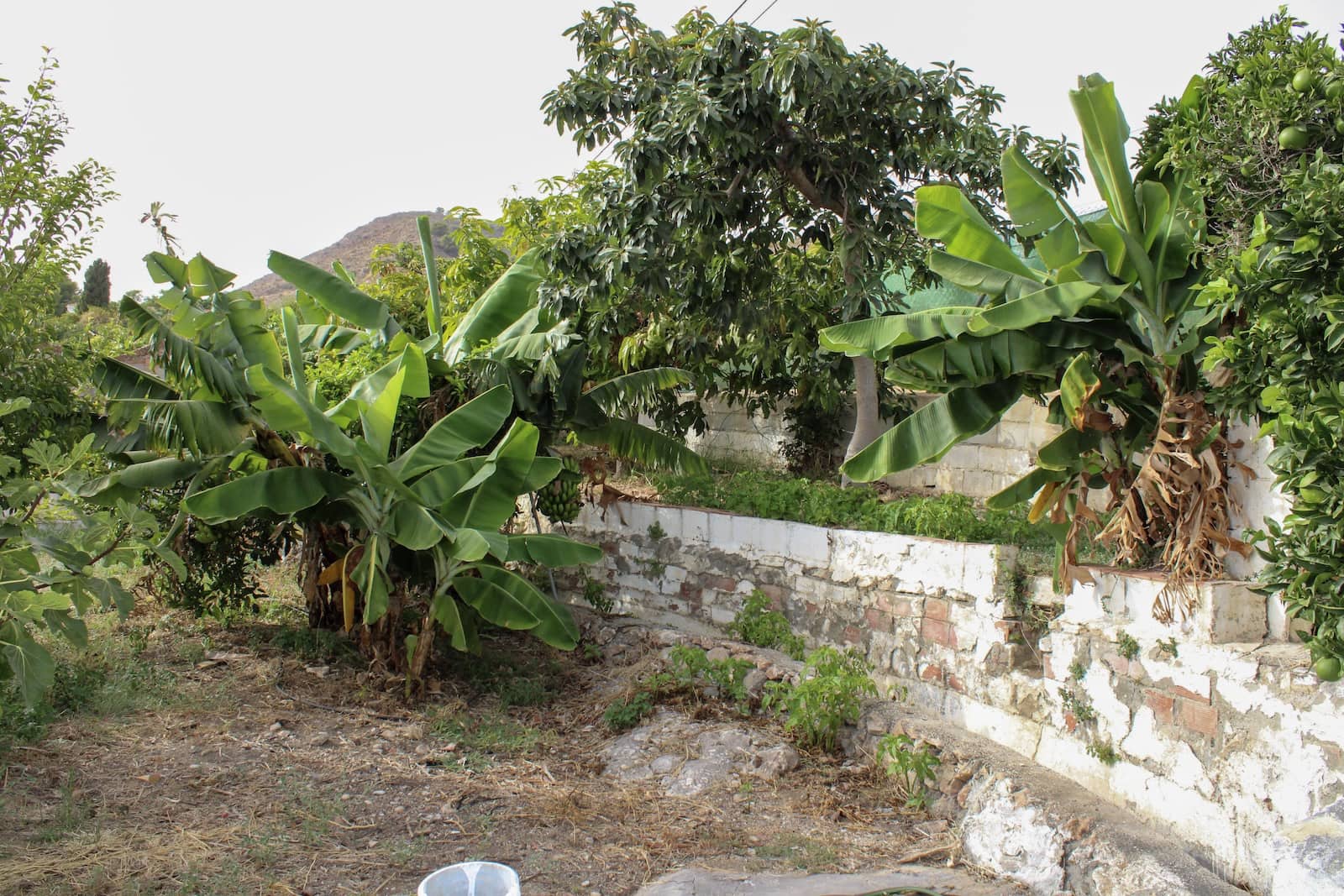 4 soveværelse Villa til salg i Nerja med swimmingpool - € 349.000 (Ref: 9197099)