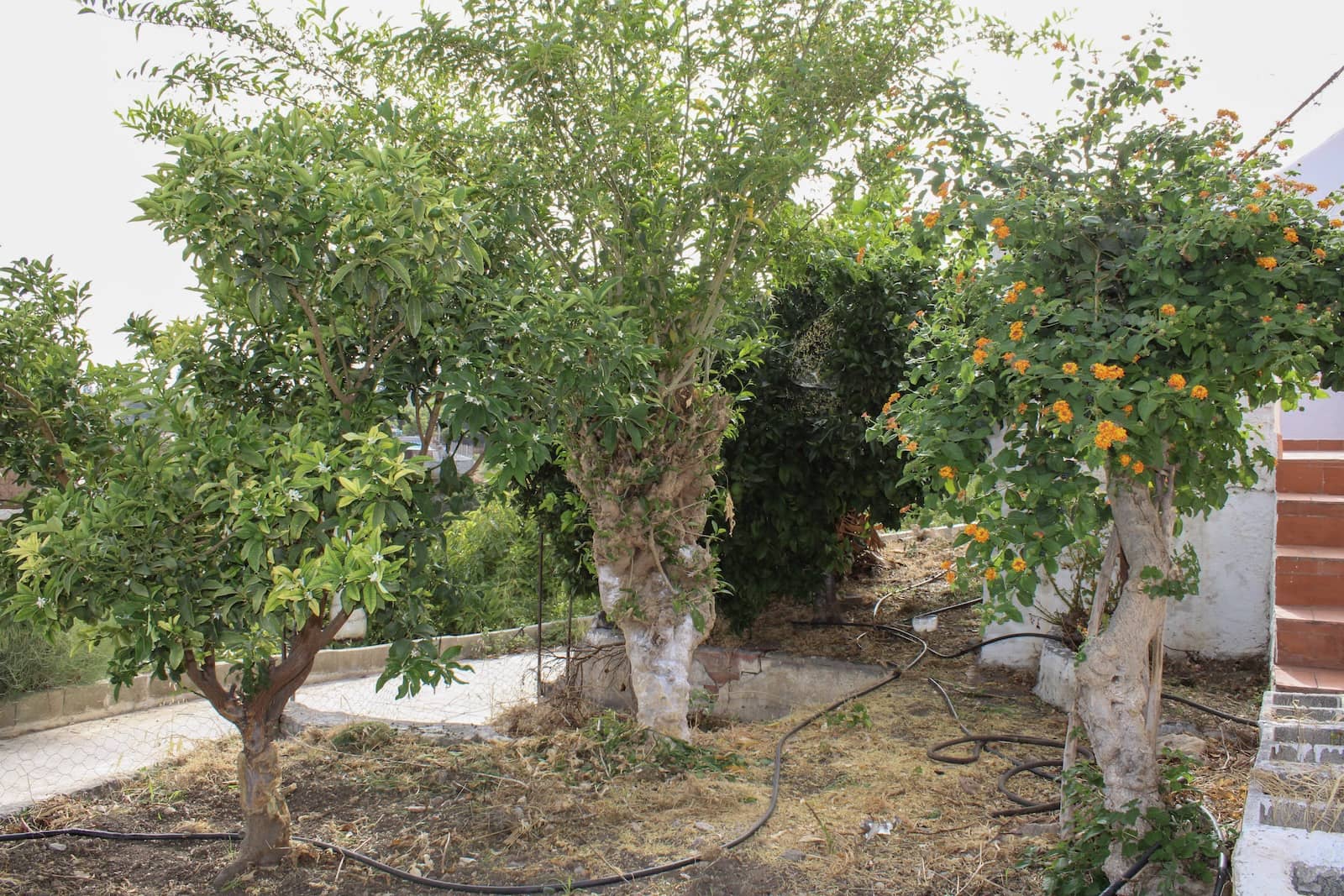 4 soveværelse Villa til salg i Nerja med swimmingpool - € 349.000 (Ref: 9197099)