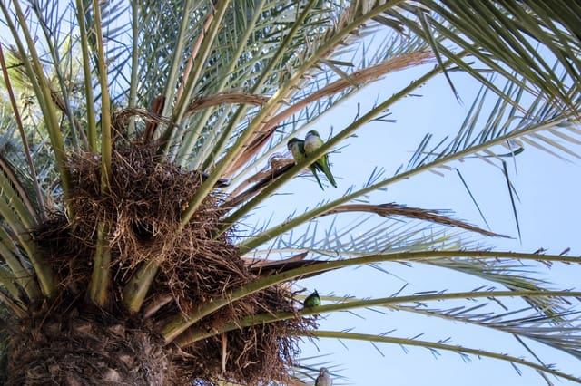 1 sovrum Villa till salu i Torre del Mar, Vélez-Málaga - 399 000 € (Ref: 9443644)