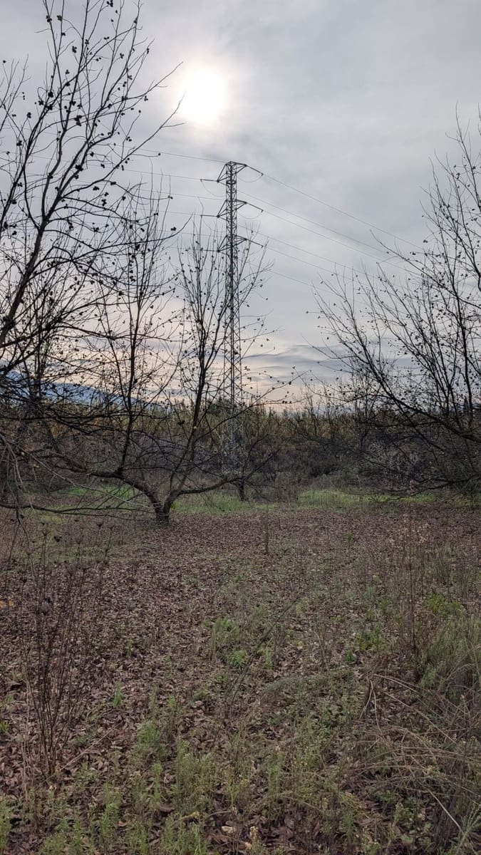 Terrain à Bâtir à vendre à Alhaurin el Grande - 273 000 € (Ref: 9631399)