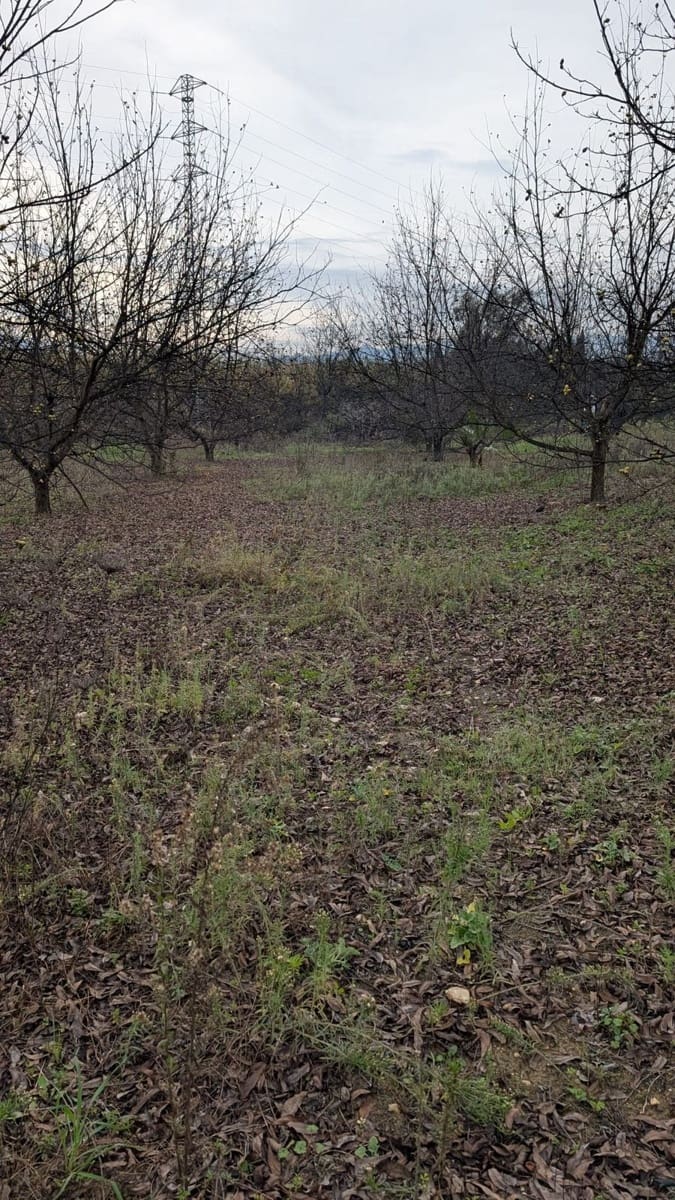 Terrain à Bâtir à vendre à Alhaurin el Grande - 273 000 € (Ref: 9631399)