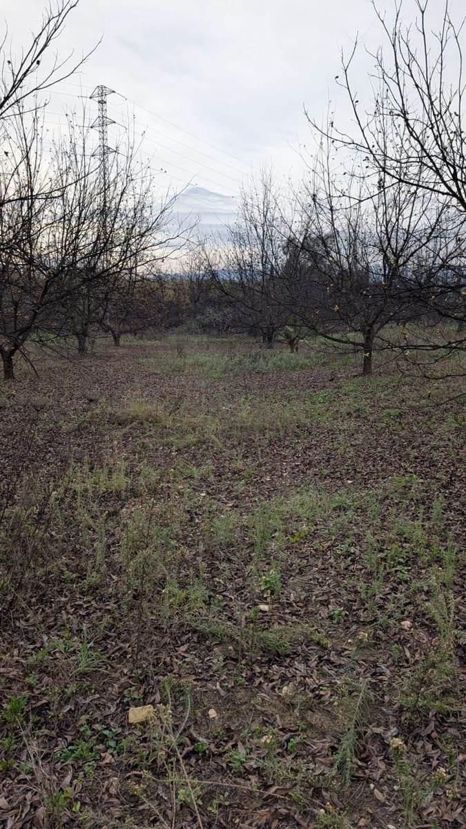 Terrain à Bâtir à vendre à Alhaurin el Grande - 273 000 € (Ref: 9631399)