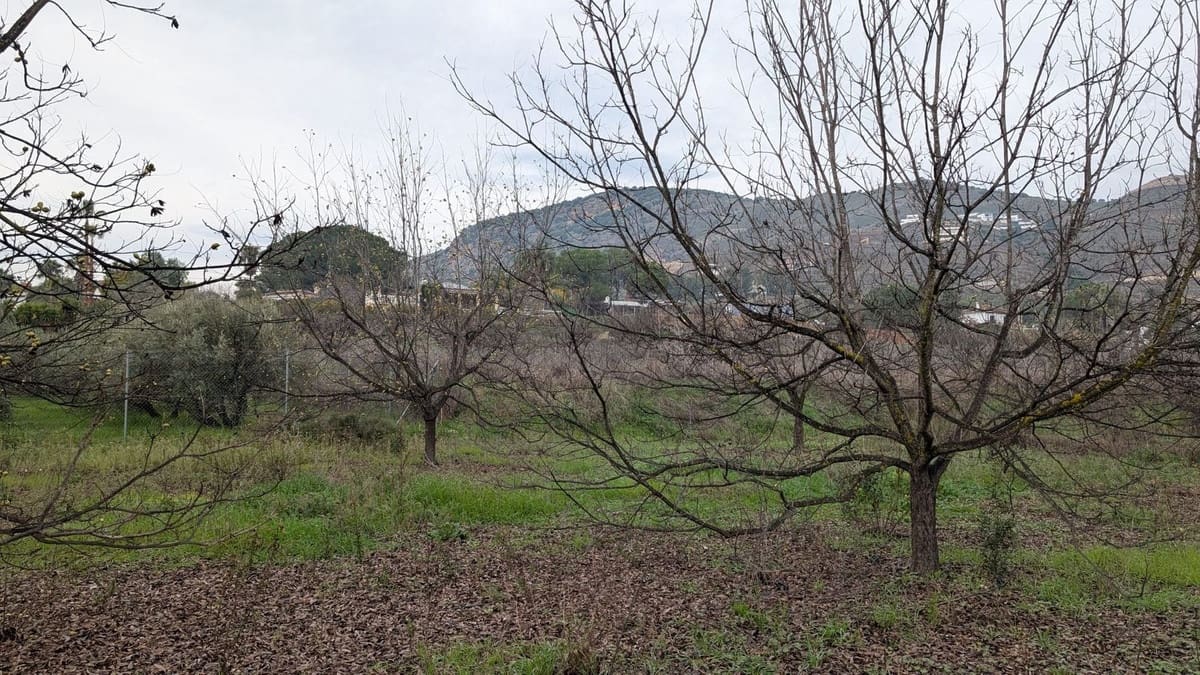 Terrain à Bâtir à vendre à Alhaurin el Grande - 273 000 € (Ref: 9631399)