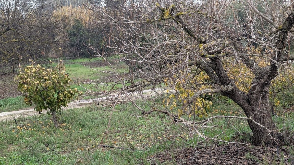 Terrain à Bâtir à vendre à Alhaurin el Grande - 273 000 € (Ref: 9631399)