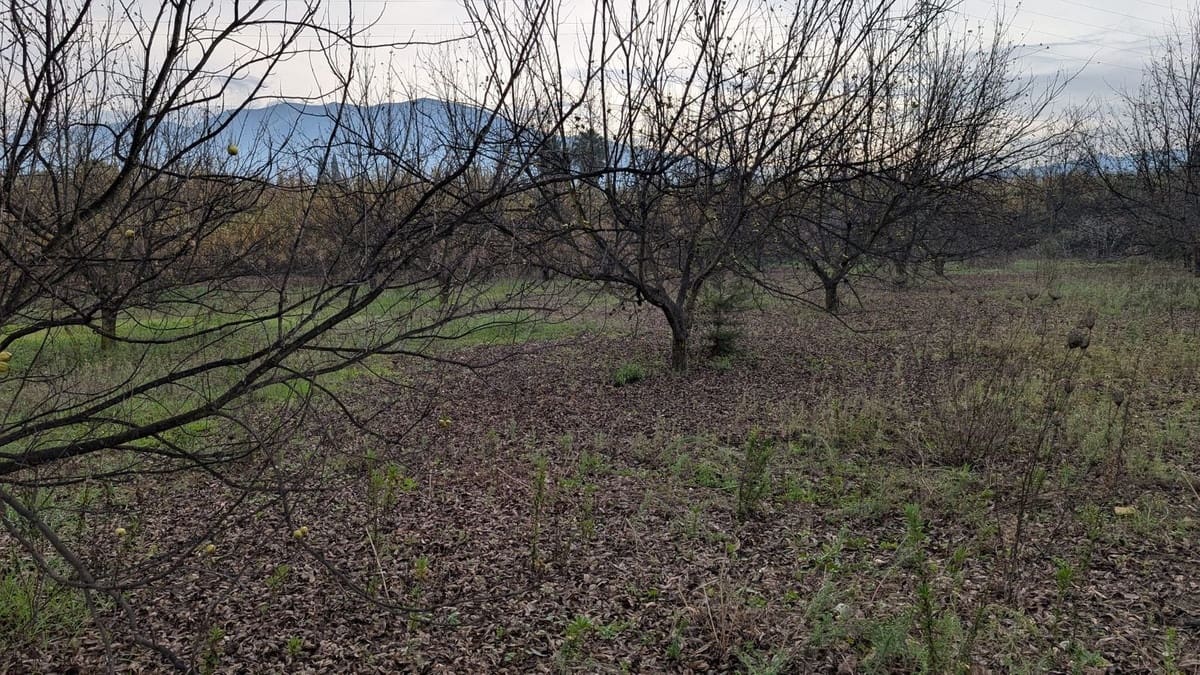 Terrain à Bâtir à vendre à Alhaurin el Grande - 273 000 € (Ref: 9631399)