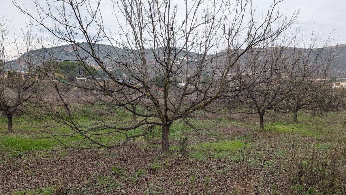 Terrain à Bâtir à vendre à Alhaurin el Grande - 273 000 € (Ref: 9631399)