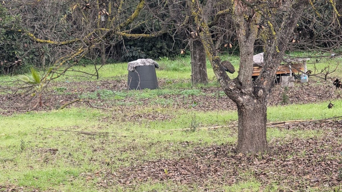 Terrain à Bâtir à vendre à Alhaurin el Grande - 273 000 € (Ref: 9631399)