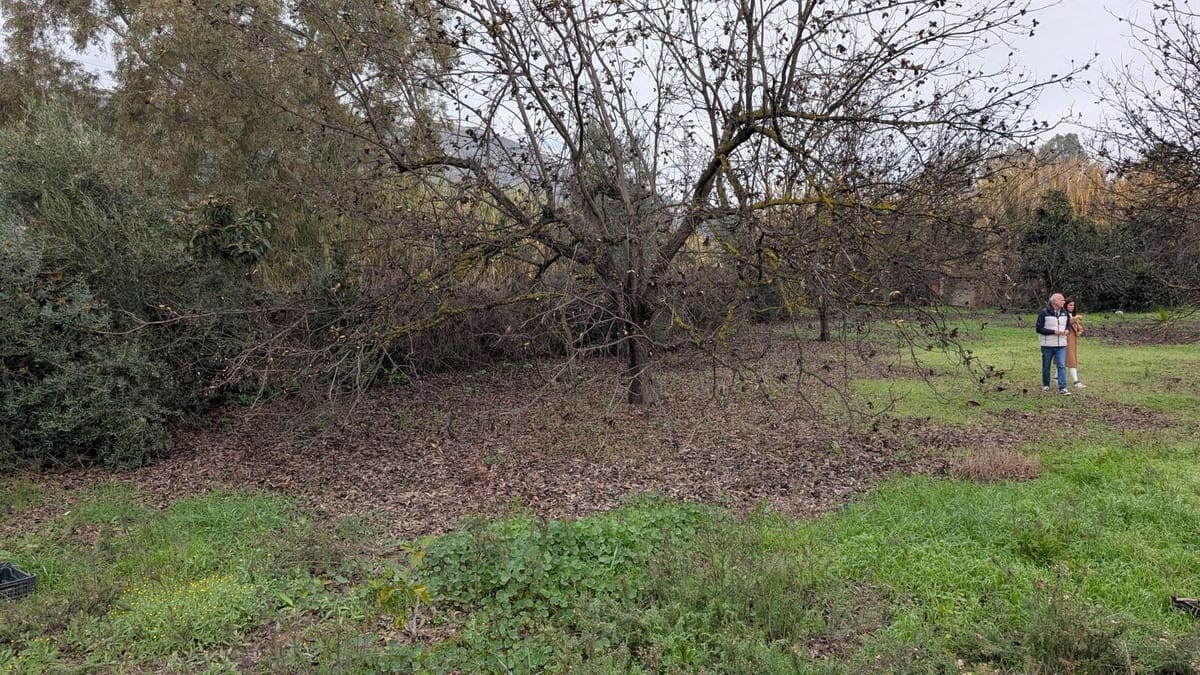 Terrain à Bâtir à vendre à Alhaurin el Grande - 273 000 € (Ref: 9631399)