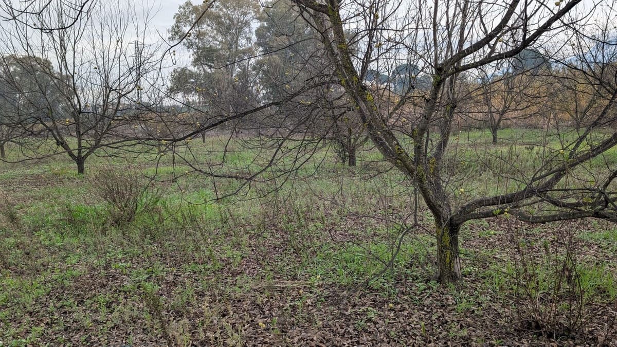 Terrain à Bâtir à vendre à Alhaurin el Grande - 273 000 € (Ref: 9631399)