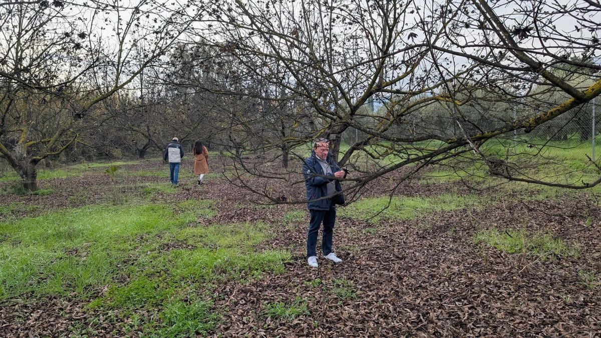 Terrain à Bâtir à vendre à Alhaurin el Grande - 273 000 € (Ref: 9631399)