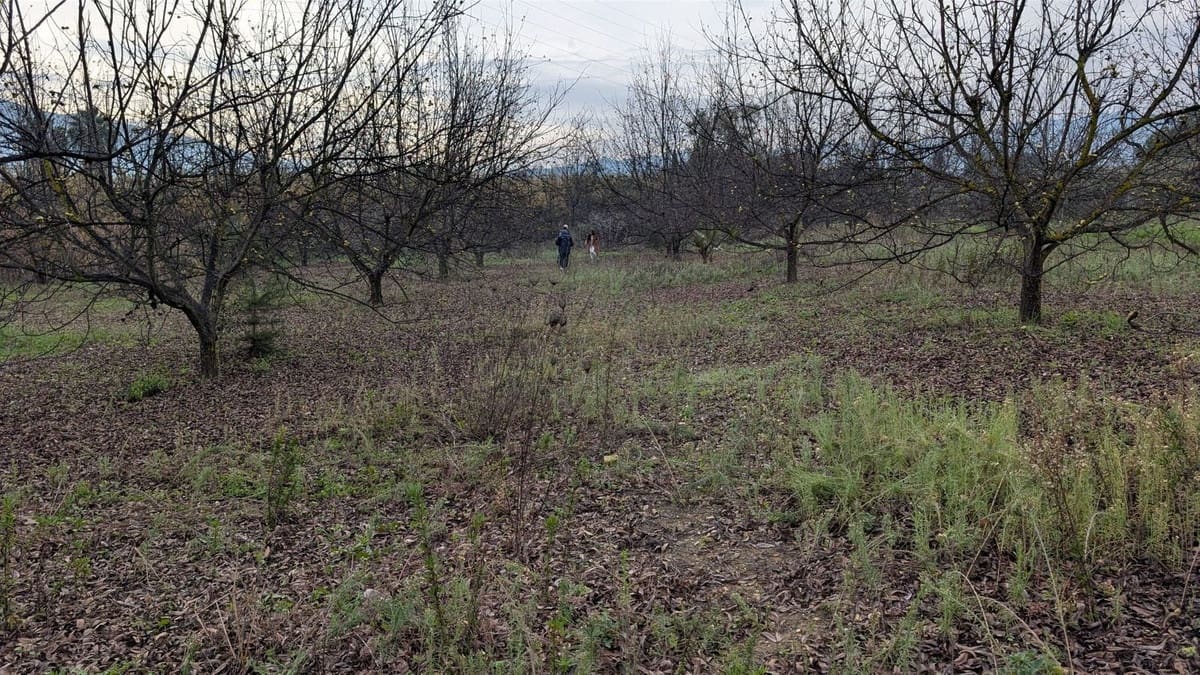 Terrain à Bâtir à vendre à Alhaurin el Grande - 273 000 € (Ref: 9631399)