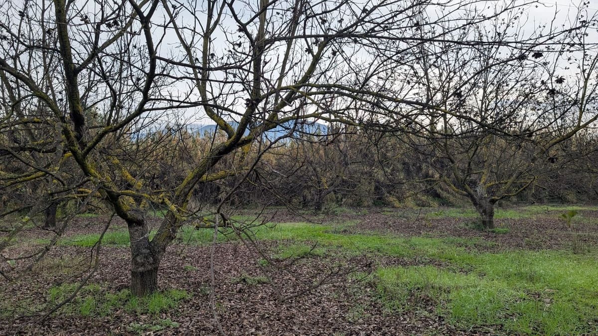 Terrain à Bâtir à vendre à Alhaurin el Grande - 273 000 € (Ref: 9631399)