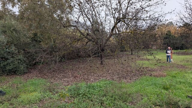 Terrain à Bâtir à vendre à Alhaurín el Grande - 273 000 € (Ref: 9631399)