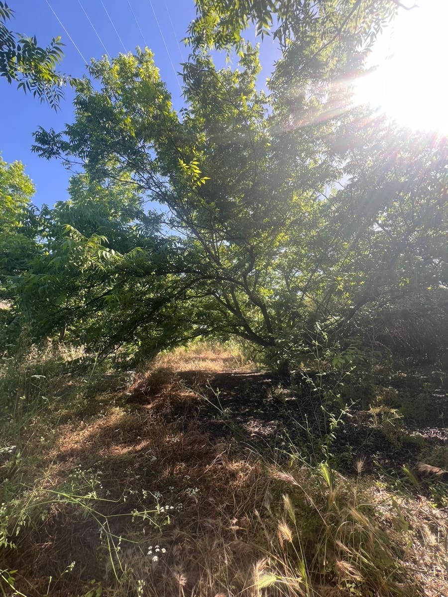 Solar/Parcela en Alhaurín el Grande en venta - 207.760 € (Ref: 9631399)