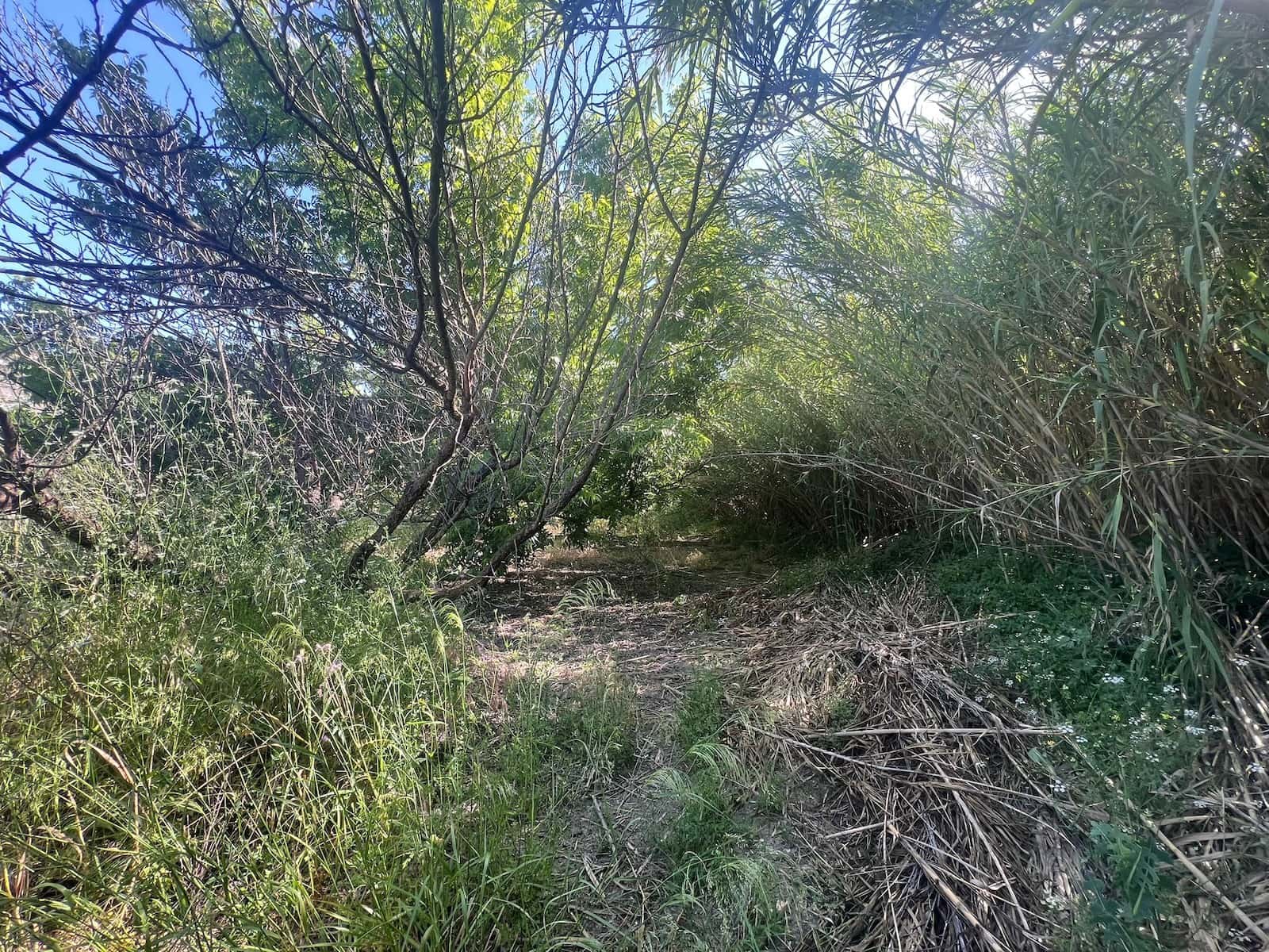 Solar/Parcela en Alhaurín el Grande en venta - 207.760 € (Ref: 9631399)