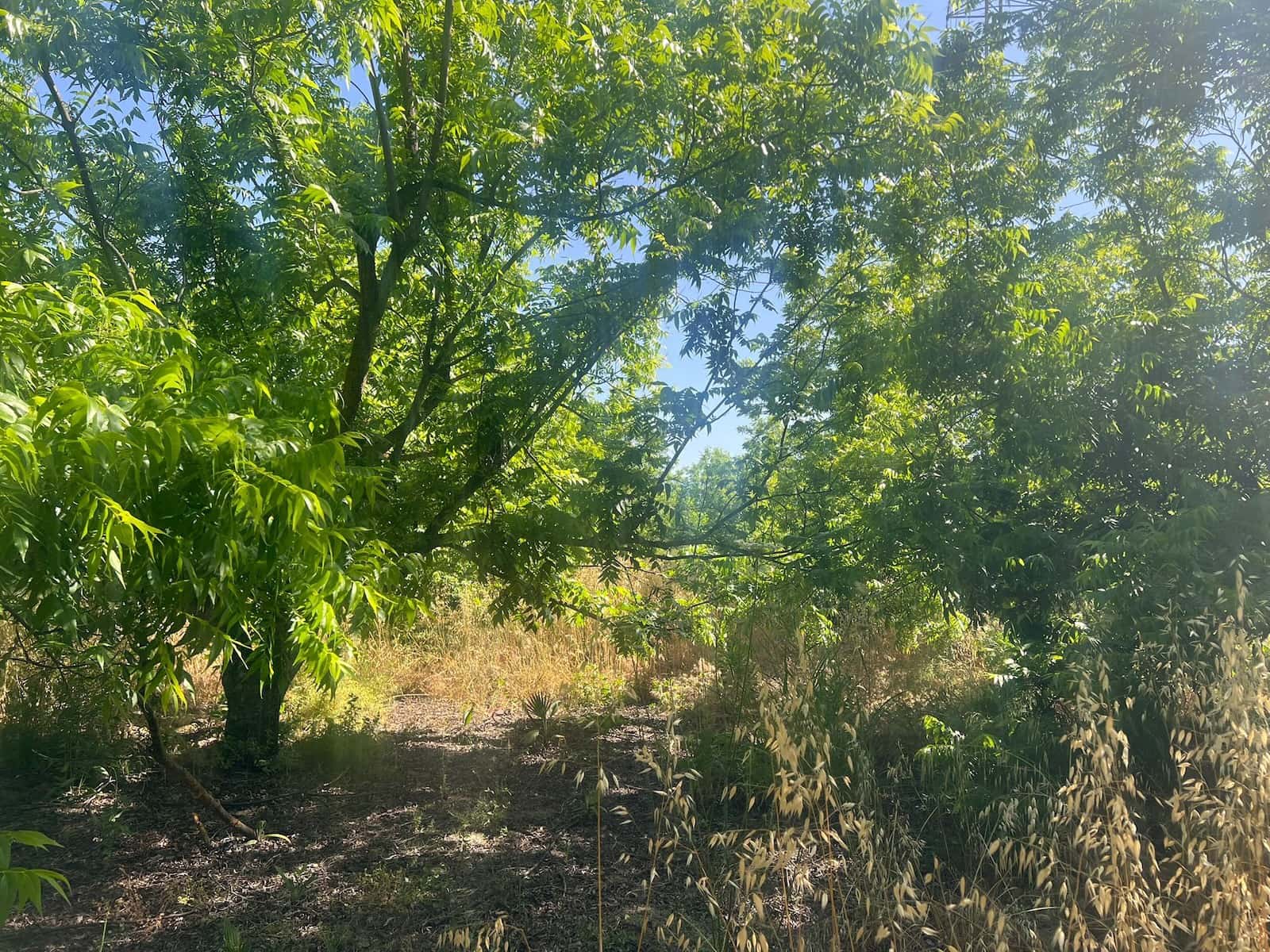 Solar/Parcela en Alhaurín el Grande en venta - 207.760 € (Ref: 9631399)
