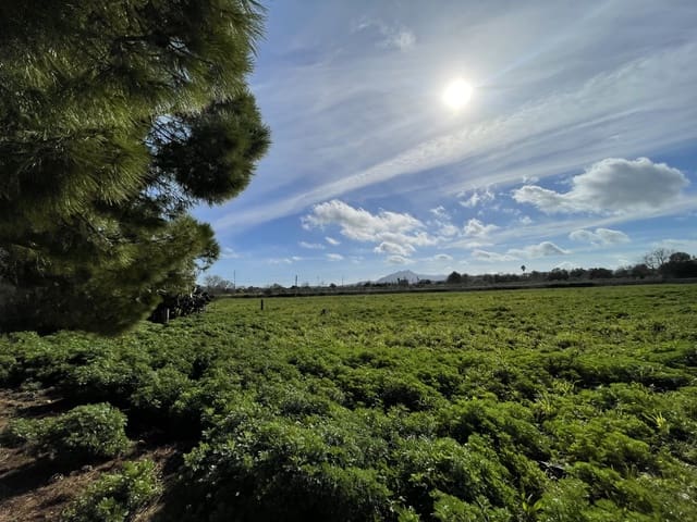 Finca/Landgut zu verkaufen in Felanitx - 750.000 € (Ref: 9665379)