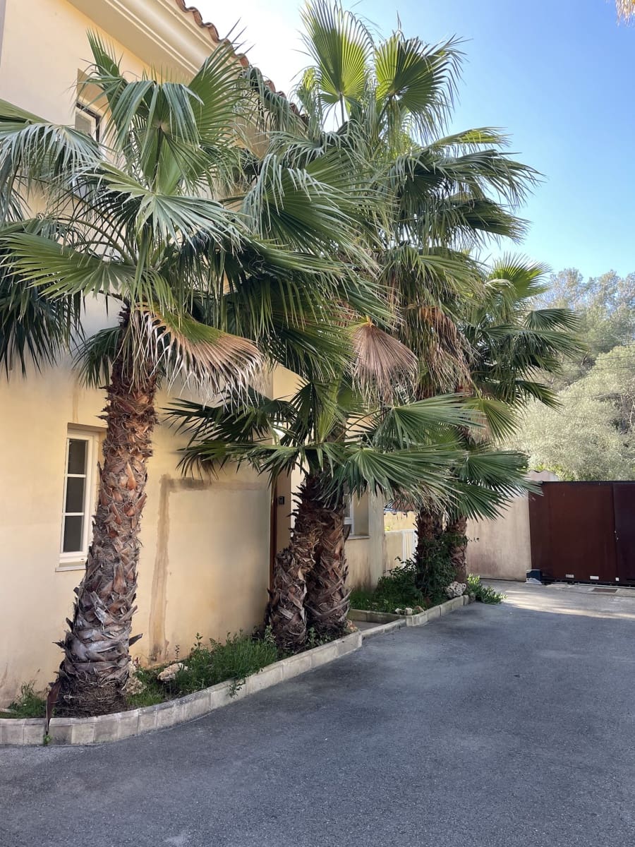 3 bedroom Townhouse for sale in Cala Murada with pool garage - € 695,000 (Ref: 9733755)