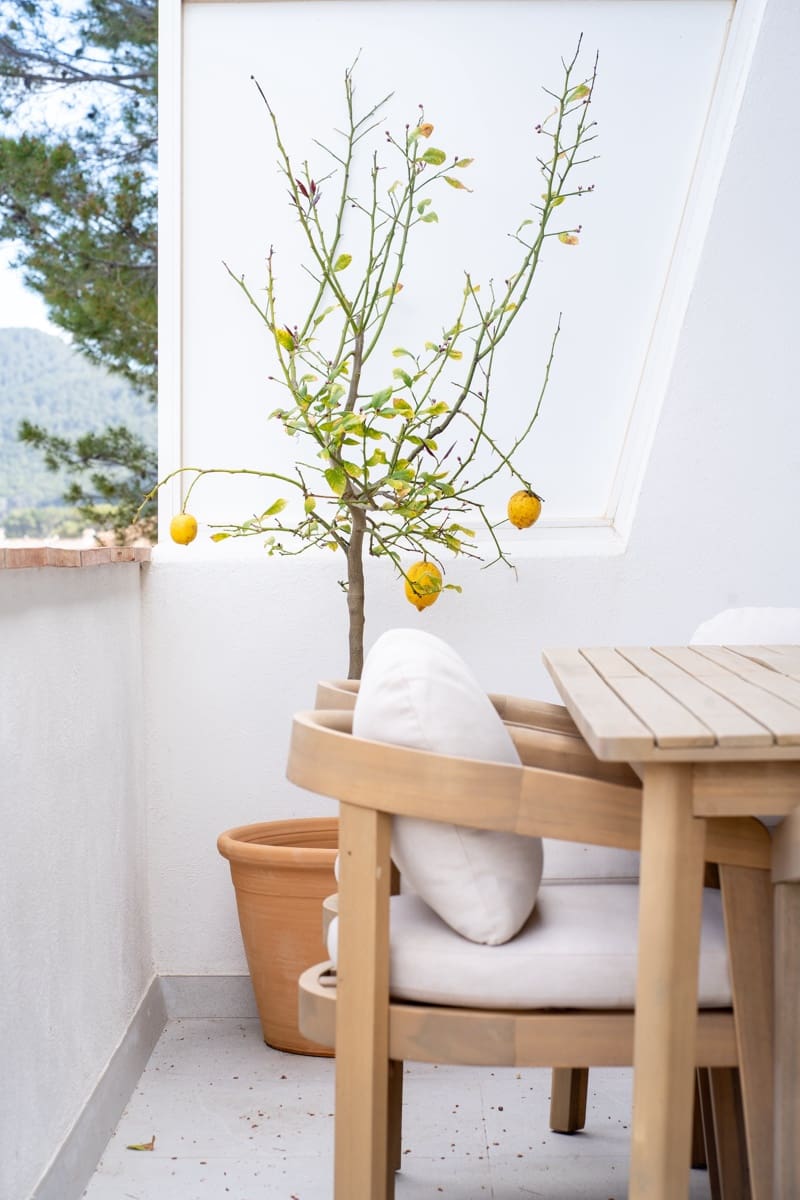 3 chambre Appartement à vendre à Puerto de Andratx - 1 390 000 € (Ref: 9749295)