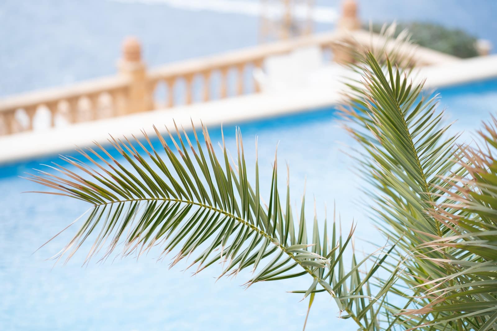 2 soverom Leilighet til salgs i Puerto de Andratx med svømmebasseng - € 1 580 000 (Ref: 9750864)