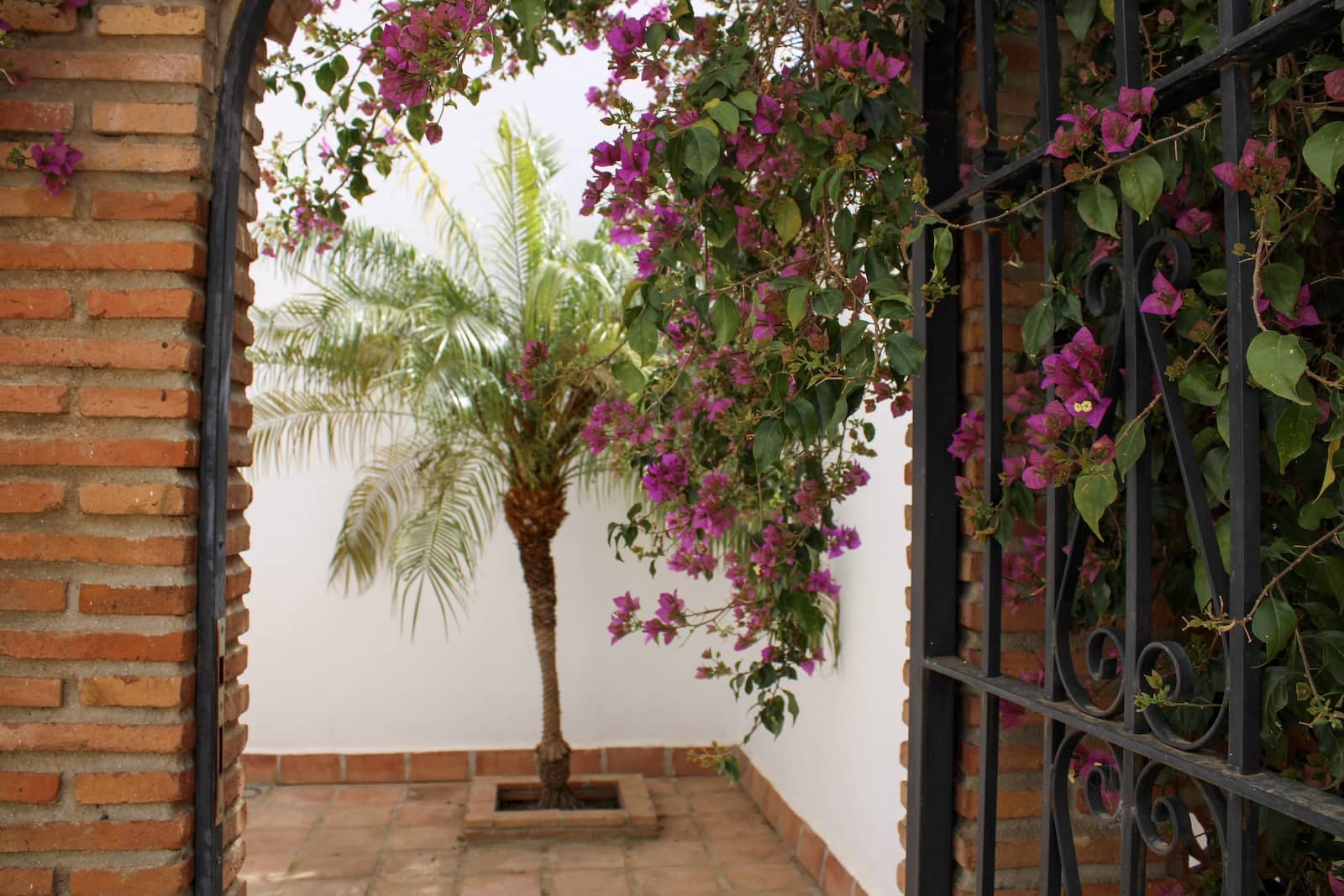 4 quarto Casa em Banda para venda em Almachar - 215 000 € (Ref: 9814694)